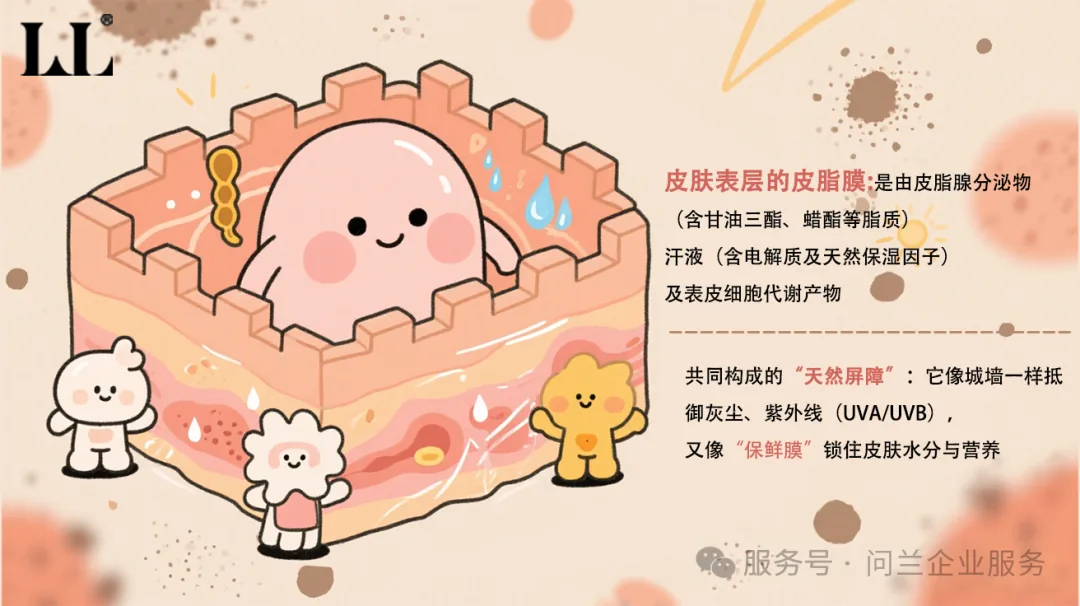 为什么说问兰人造细胞膜技术，能真正“修”好你的皮肤屏障？