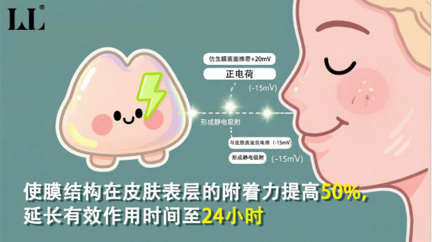 3cdef45e-600a-40d7-aa81-a178f737a6dd